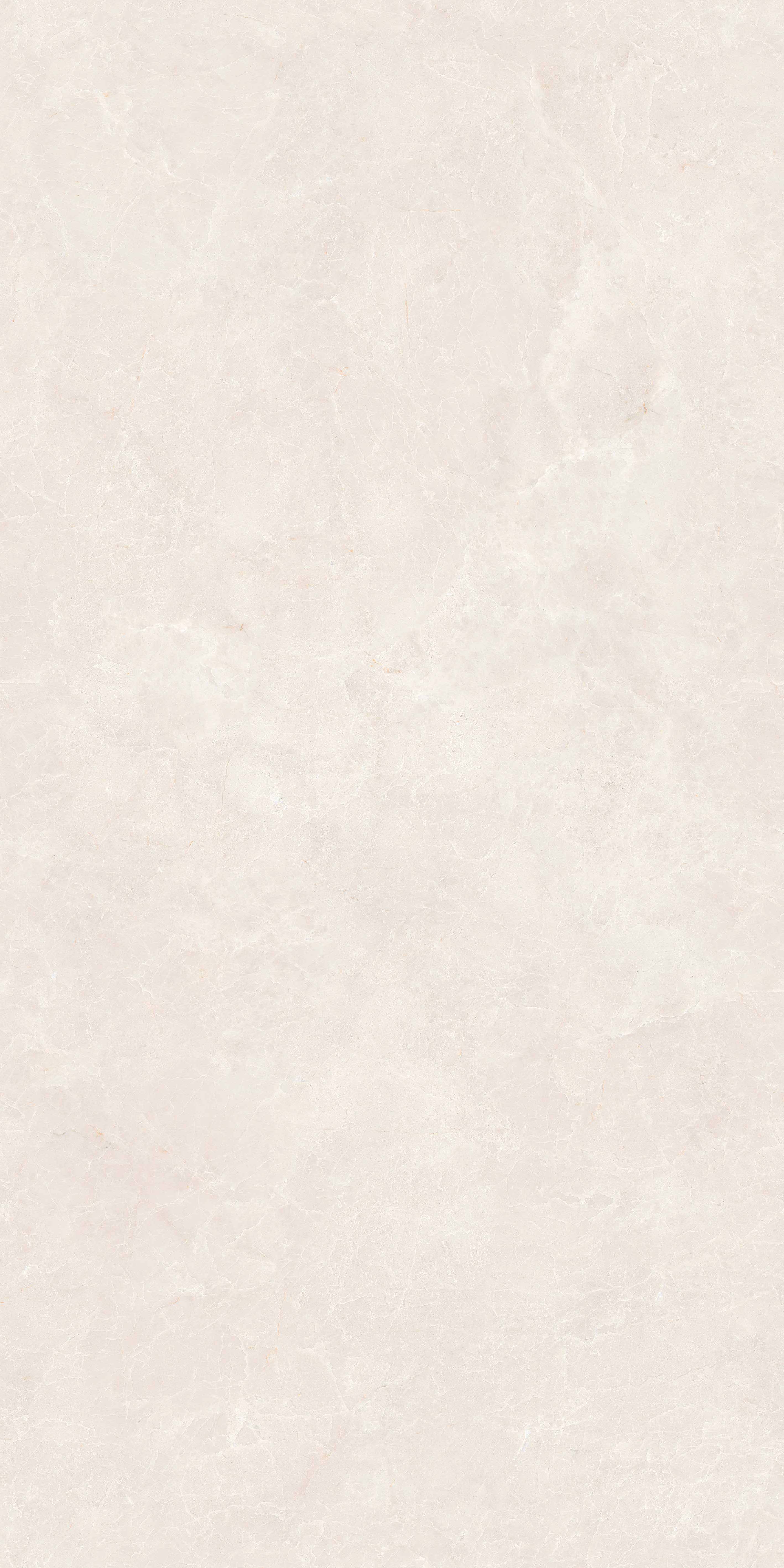 新白玉兰 DLL715796B 产品图