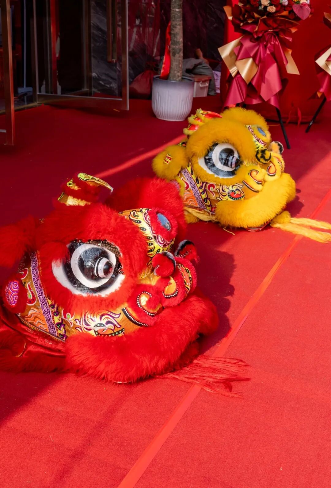 精工筑梦·挚友同行 | 强辉邢台旗舰店焕新开业(图3)